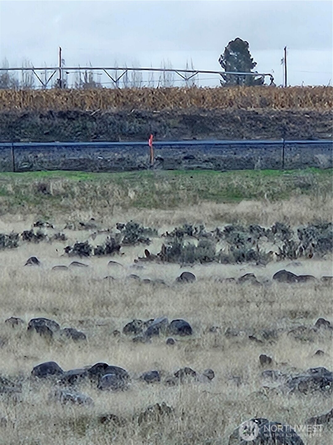 9312 Rd H Northwest Ephrata, WA 98823 - Photo 7 of 14