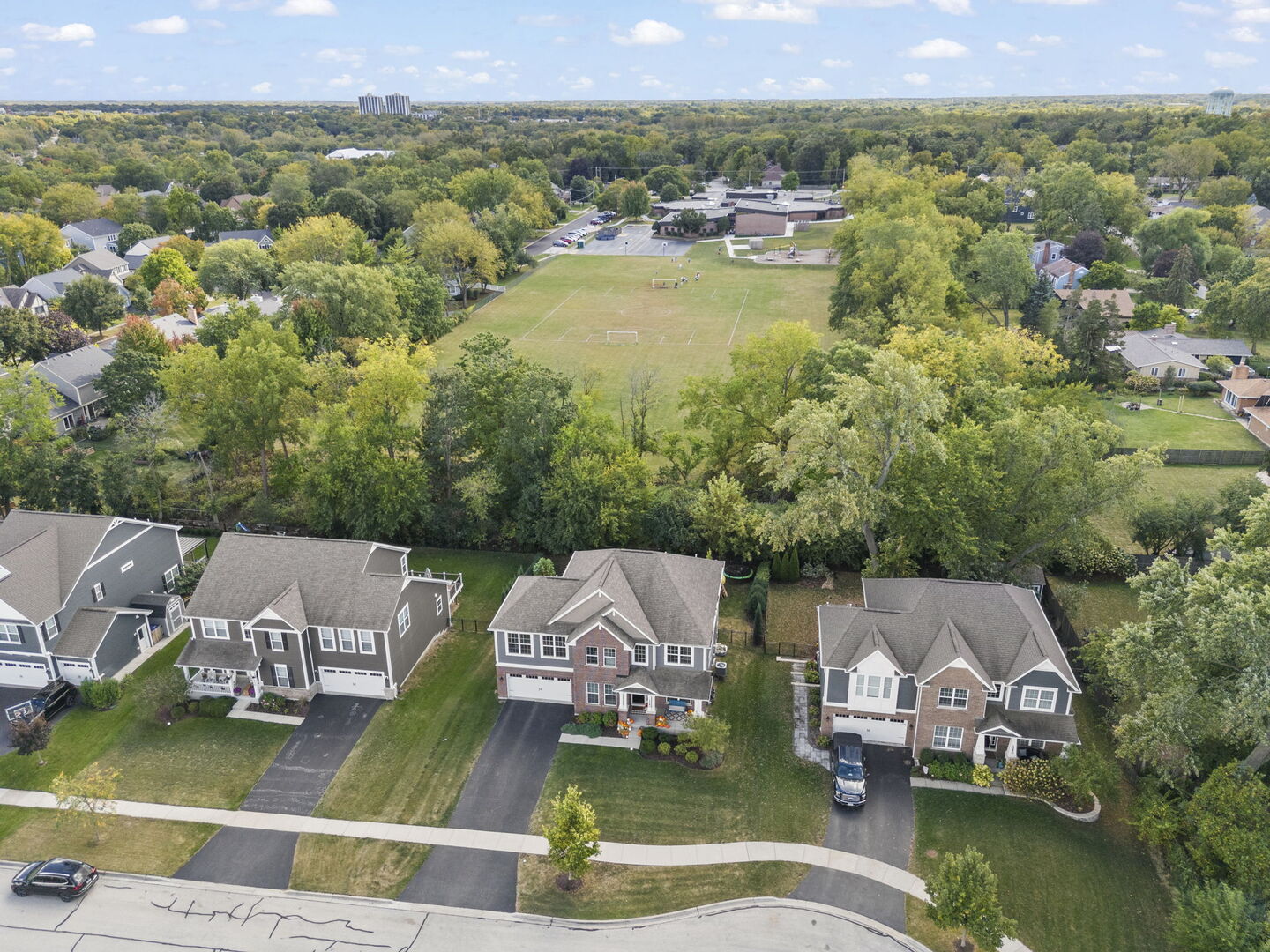 1240 West Thomas Road Wheaton, IL 60187 - Photo 41 of 58