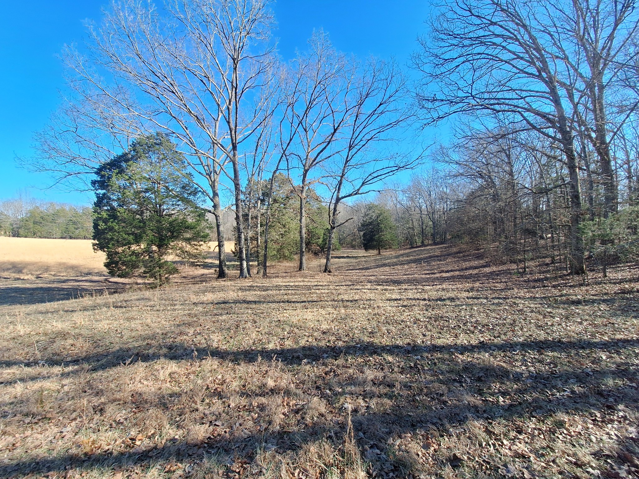 1 Maytown Road Bruceton, TN 38317 - Photo 12 of 14 Gallery Image 12