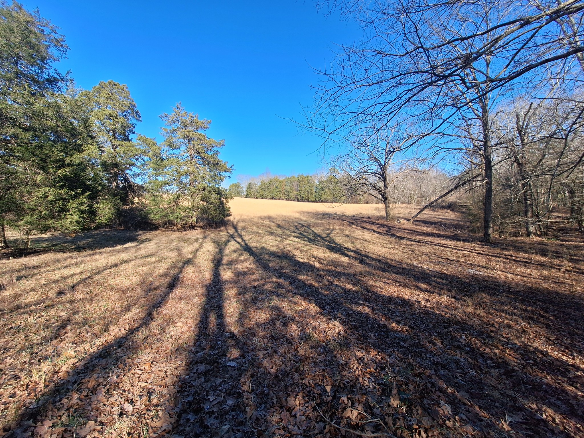 1 Maytown Road Bruceton, TN 38317 - Photo 13 of 14 Gallery Image 13