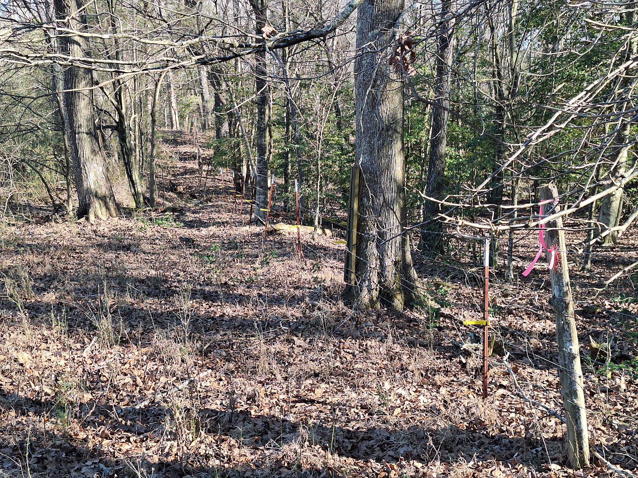 1 Maytown Road Bruceton, TN 38317 - Photo 14 of 14 Gallery Image 14