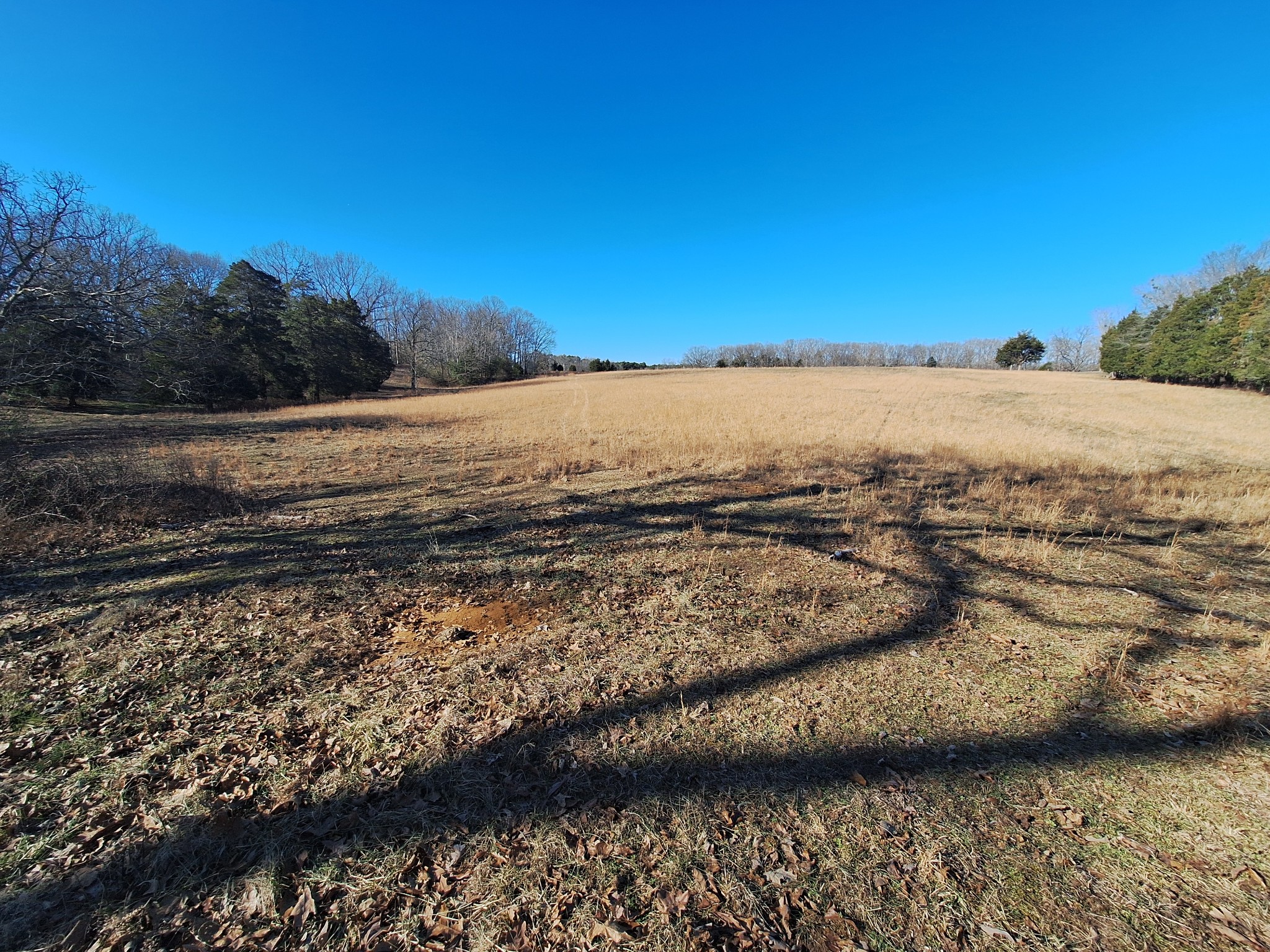 1 Maytown Road Bruceton, TN 38317 - Photo 2 of 14 Gallery Image 2