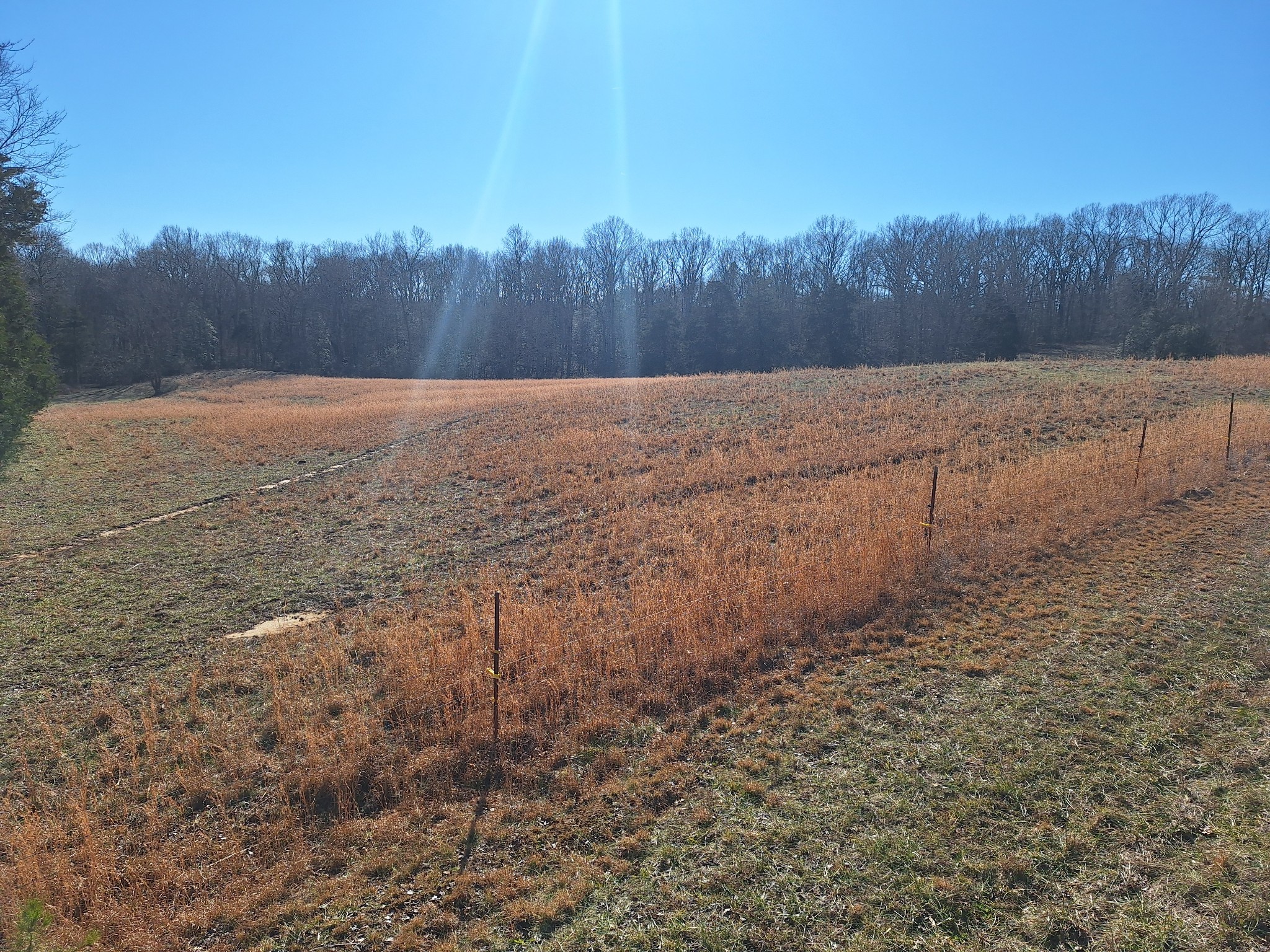 1 Maytown Road Bruceton, TN 38317 - Photo 5 of 14 Gallery Image 5