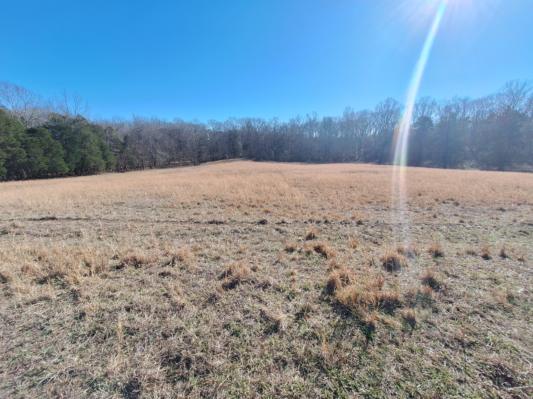 1 Maytown Road Bruceton, TN 38317 - Photo 6 of 14 Gallery Image 6