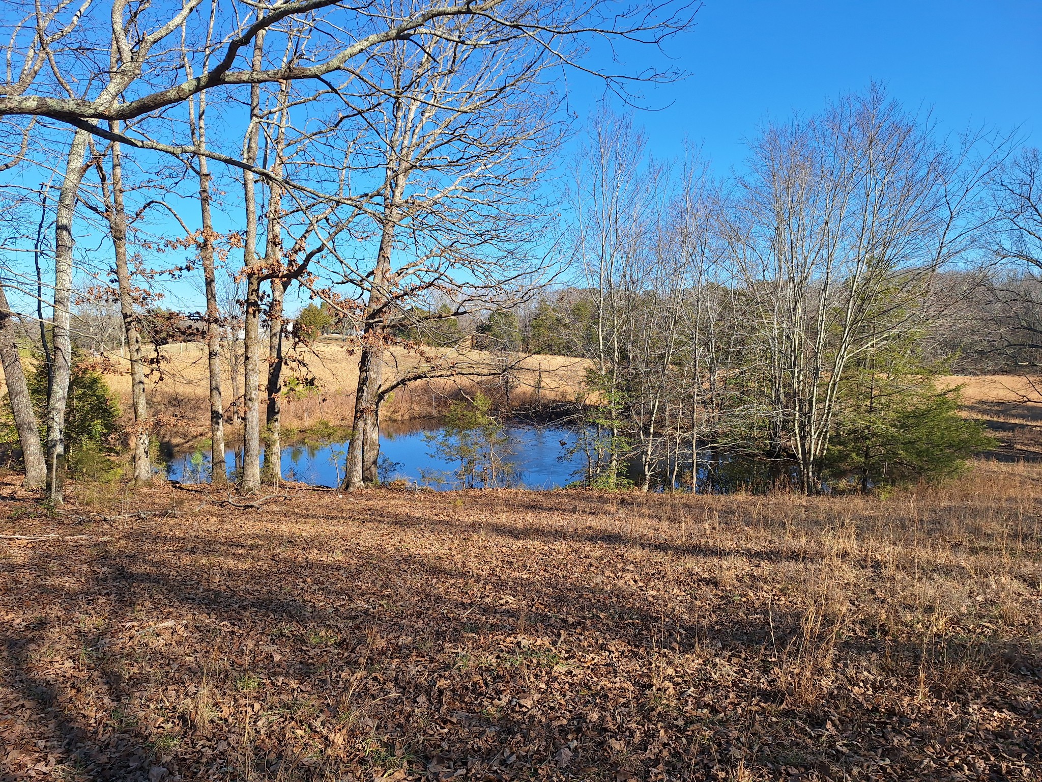 1 Maytown Road Bruceton, TN 38317 - Photo 7 of 14 Gallery Image 7