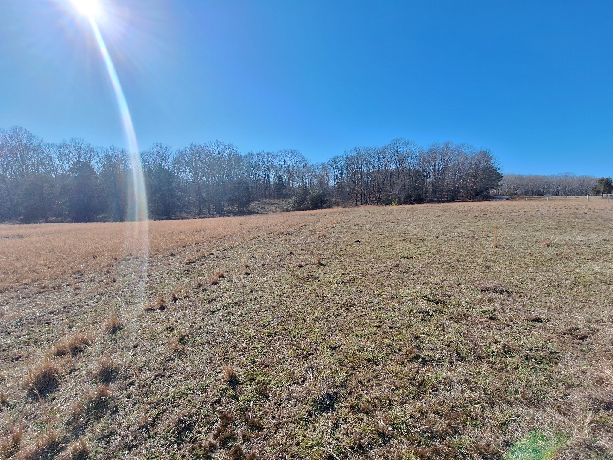 1 Maytown Road Bruceton, TN 38317 - Photo 8 of 14 Gallery Image 8