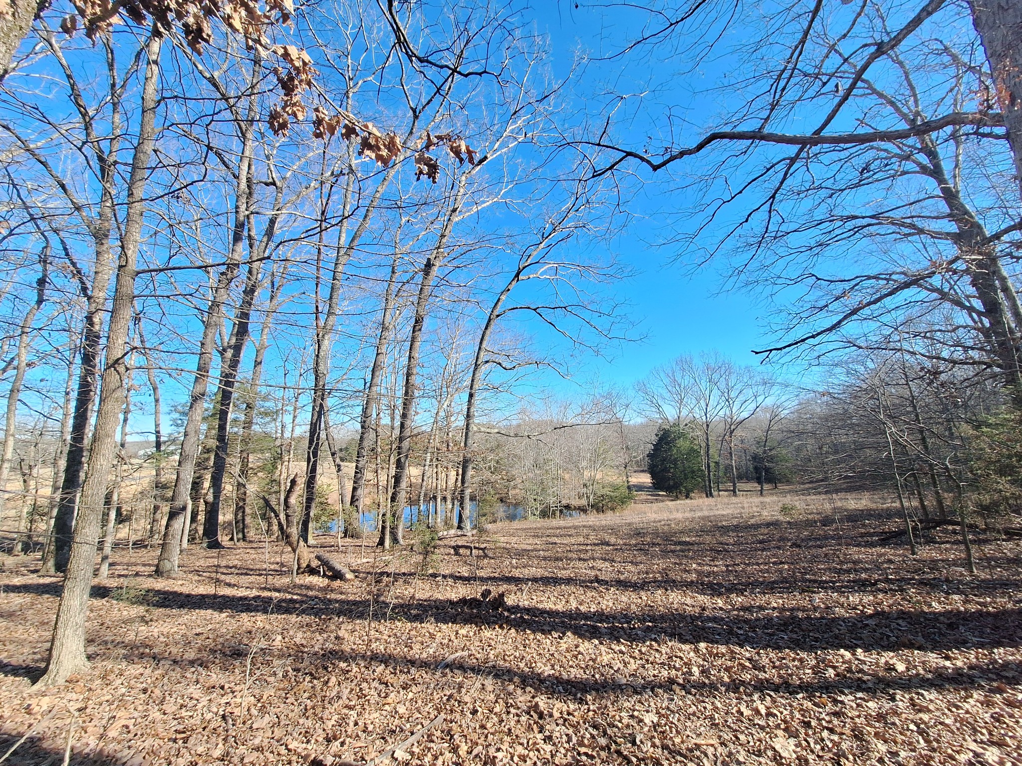 1 Maytown Road Bruceton, TN 38317 - Photo 9 of 14 Gallery Image 9