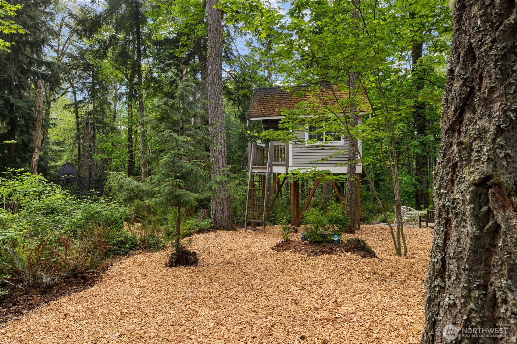 27126 Grand Ridge Drive Issaquah, WA 98029 - Photo 36 of 38