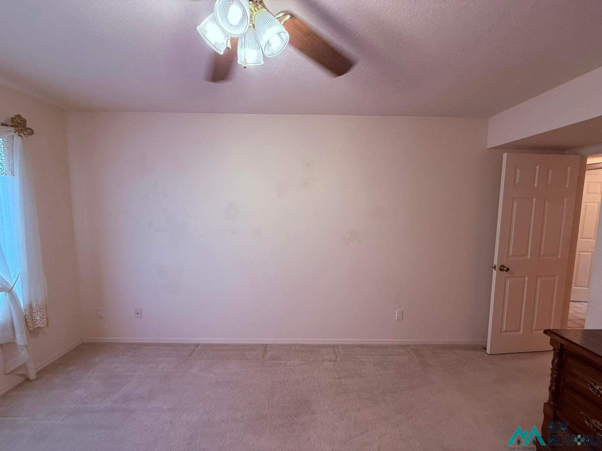 300 Rio Grande Circle Elephant Butte, NM 87935 - Photo 16 of 99 Carpeted room featuring a ceiling fan with light fixture, neutral wall colors, and a paneled door