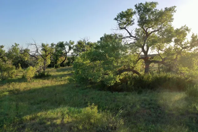 a view of an outdoor space with a lake view