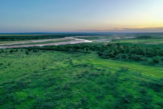a view of a lake from a yard