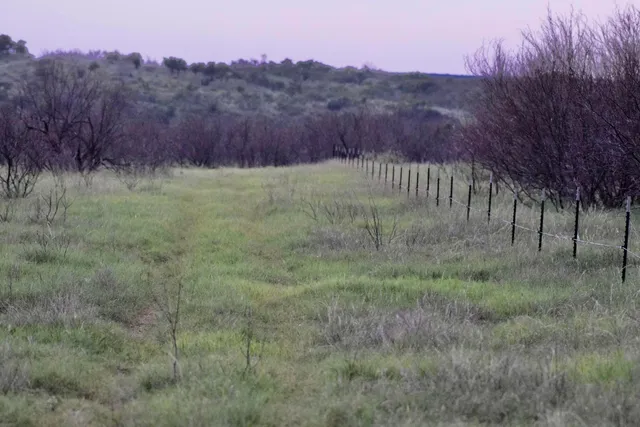 $2,469,500 | 70 Sh, Clarendon, TX 79226