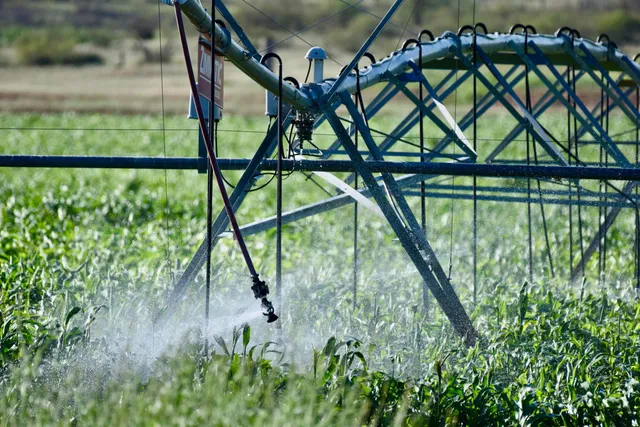 $2,469,500 | 70 Sh, Clarendon, TX 79226