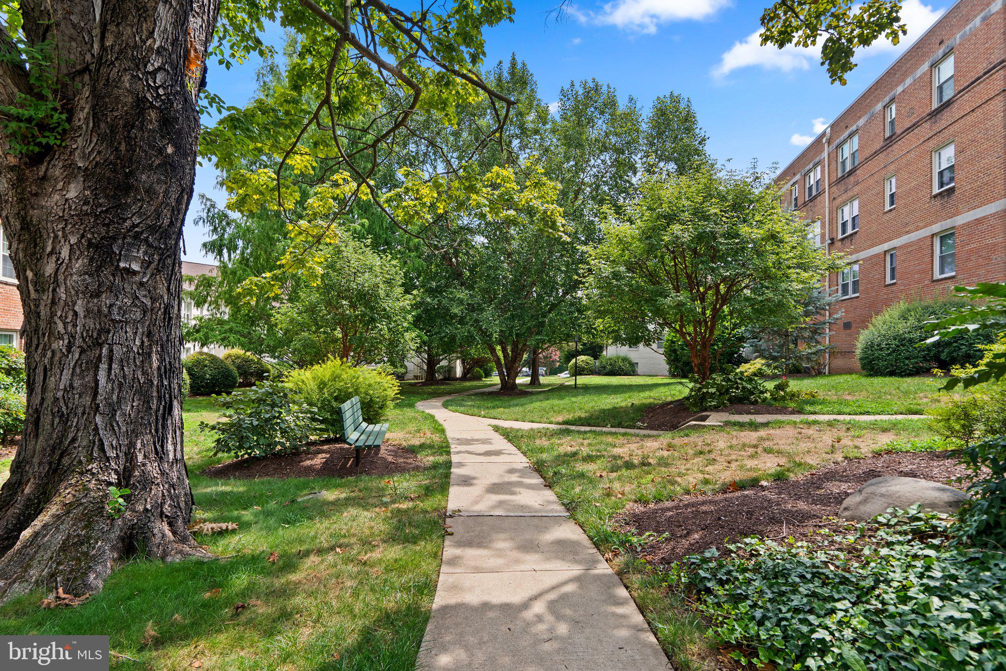 2204 Colston Drive, Unit C101 Silver Spring, MD 20910 - Photo 20 of 26