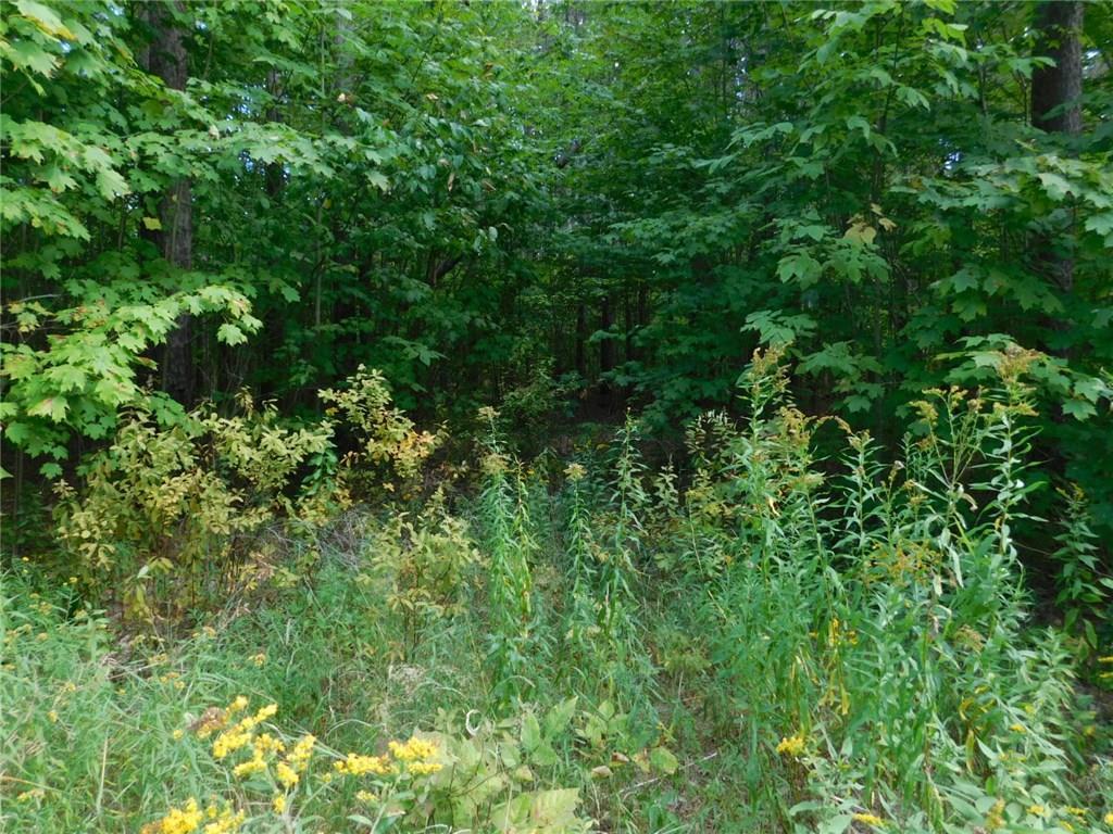 0 Monroe Road Hampden, ME 04444 - Photo 3 of 6 Photo
