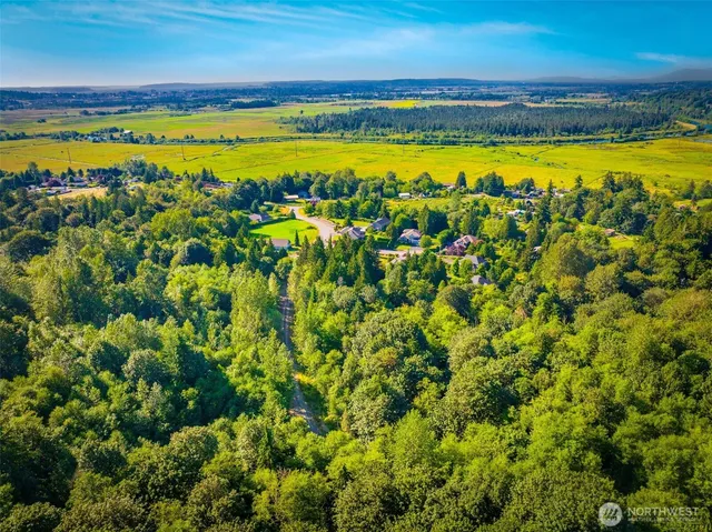 a view of a large body of water with a bench and some trees around