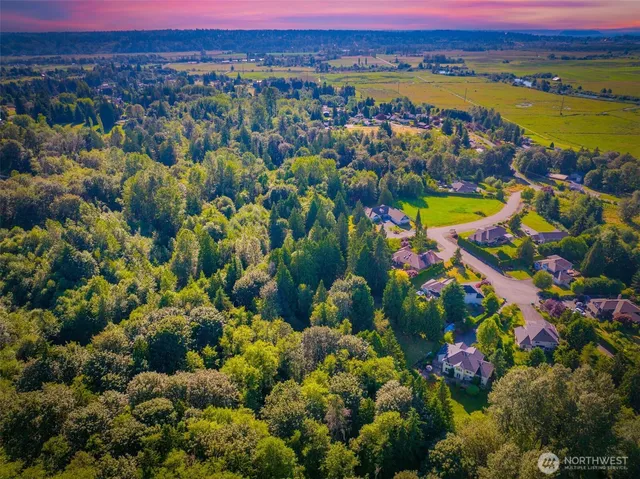 a view of a pathway both side of yard
