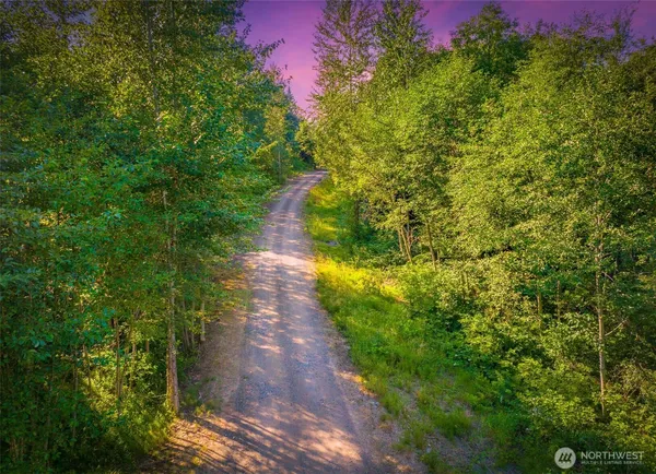 a view of a pathway both side of yard