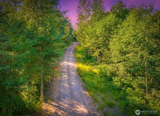 a view of a pathway both side of yard