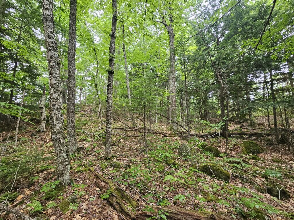 19 A Quaker Ridge Road Leeds, ME 04263 - Photo 2 of 37 20260716_134436