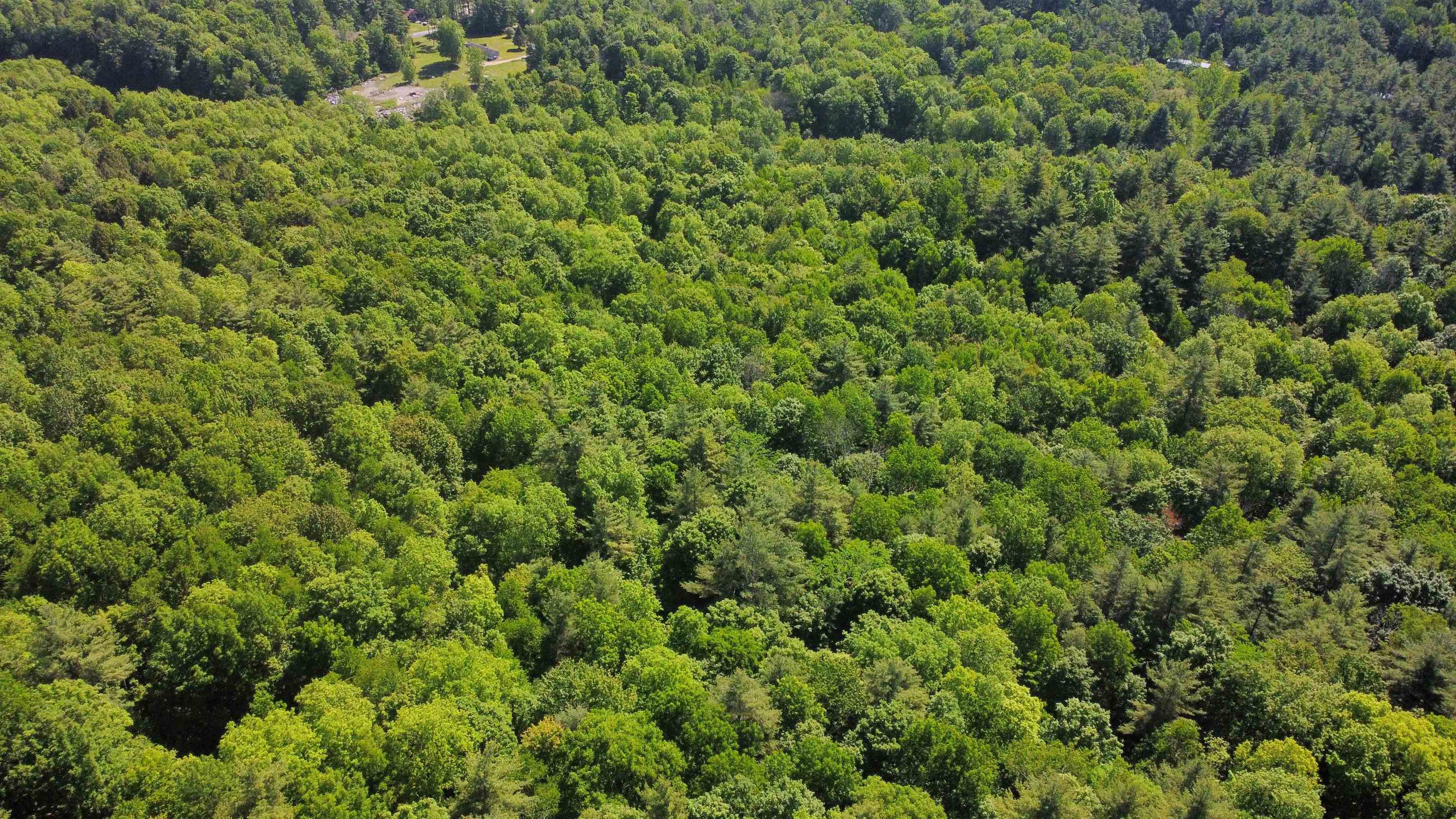0 Bullfrog Hollow Road Wells, VT 05774 - Photo 17 of 26