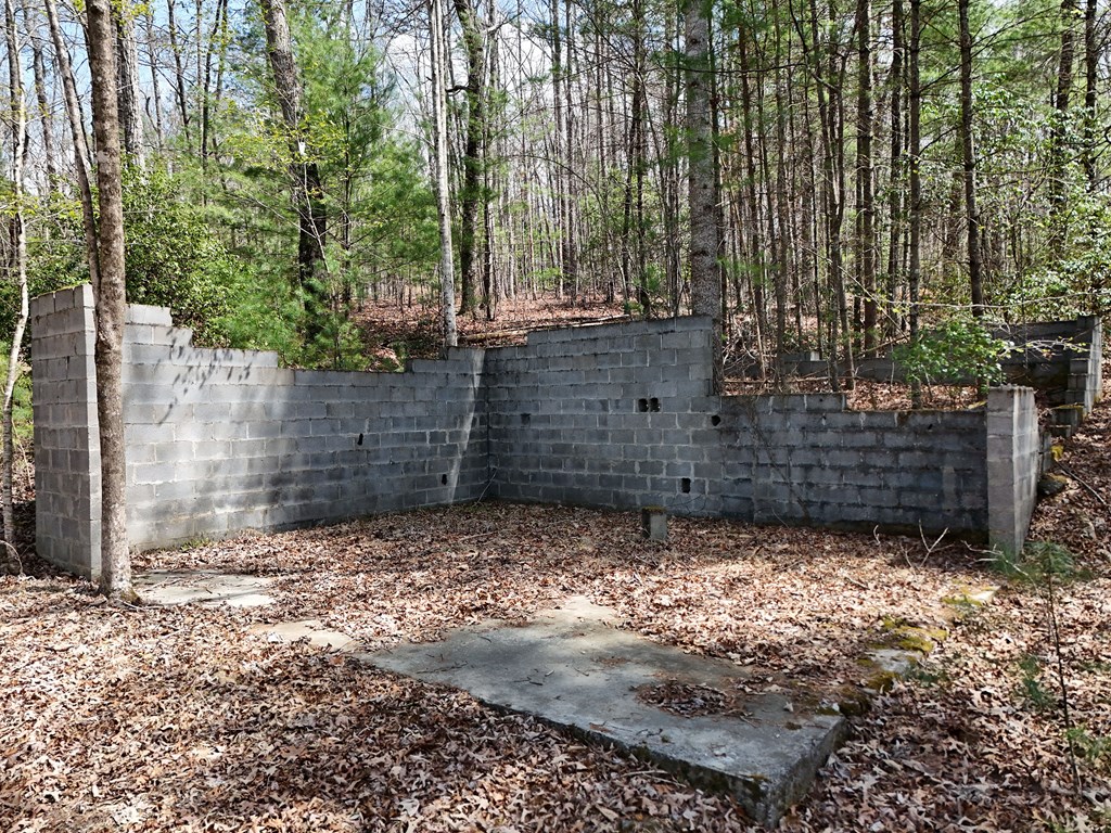 Lot 117 Laurel Trace Blue Ridge, GA 30513 - Photo 5 of 20 Gallery Image 5