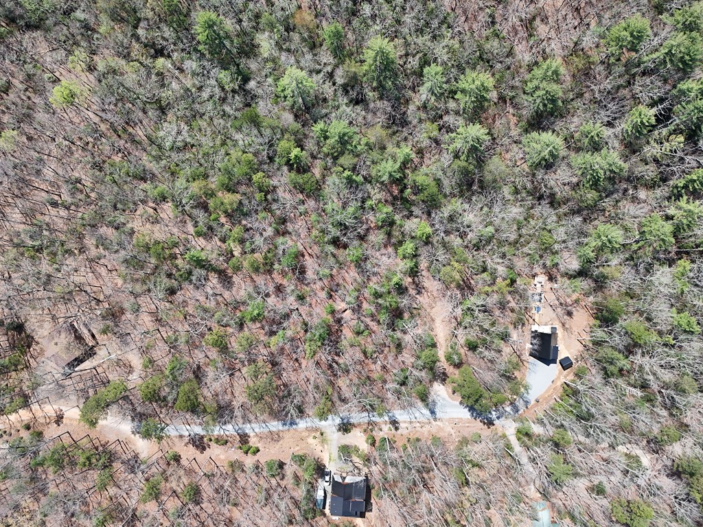 Lot 117 Laurel Trace Blue Ridge, GA 30513 - Photo 8 of 20 Gallery Image 8