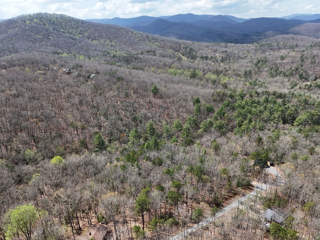 Lot 117 Laurel Trace Blue Ridge, GA 30513 - Photo 10 of 20 Gallery Image 10