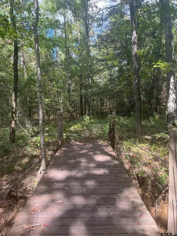 a view of a yard with plants and trees