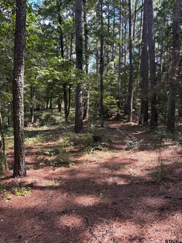 a view of a yard with trees
