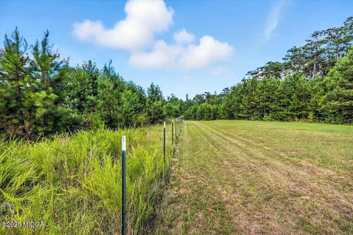 309 Davis Road Gray, GA 31032 - Photo 31 of 48 a yard with pier in front of it