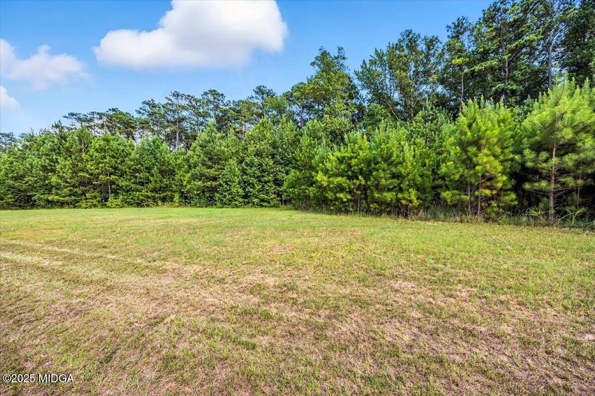 309 Davis Road Gray, GA 31032 - Photo 32 of 48 a view of a yard with an trees