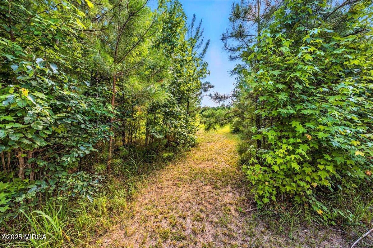 309 Davis Road Gray, GA 31032 - Photo 34 of 48 a view of a tree in a garden