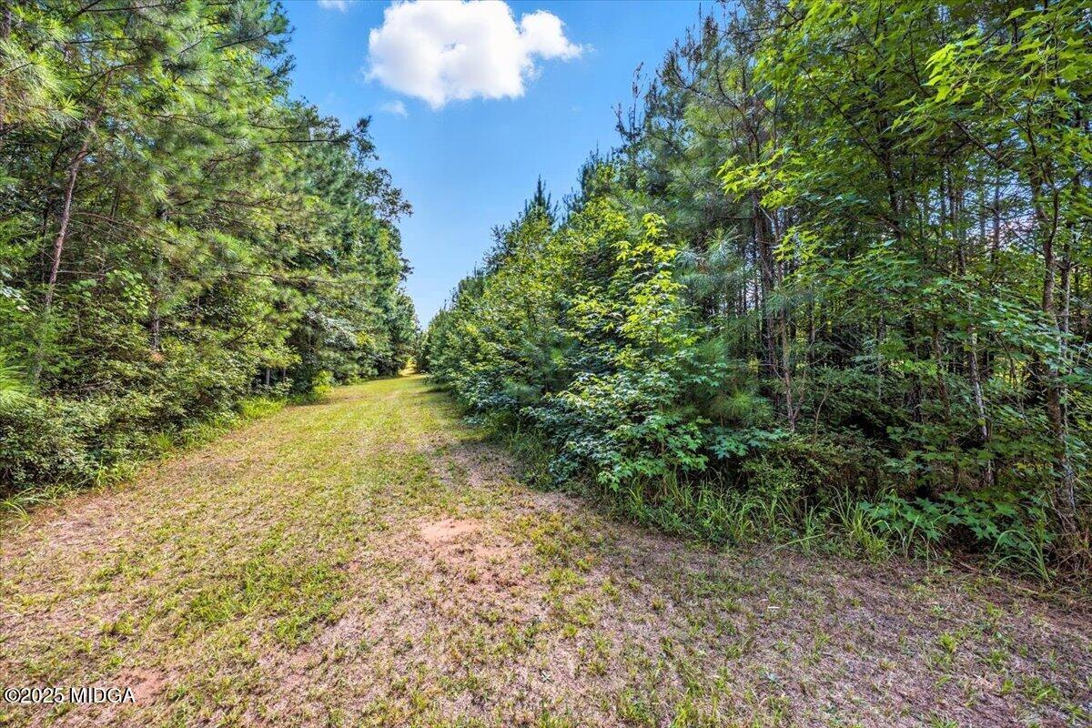 309 Davis Road Gray, GA 31032 - Photo 35 of 48 a view of a yard with an outdoor space
