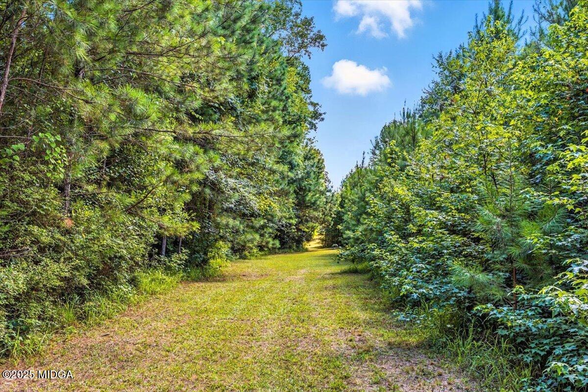 309 Davis Road Gray, GA 31032 - Photo 36 of 48 a view of yard with green space