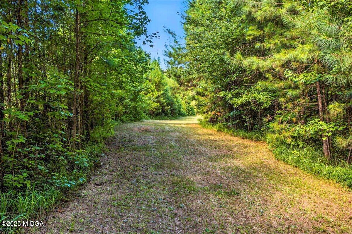 309 Davis Road Gray, GA 31032 - Photo 37 of 48 a view of outdoor space and yard