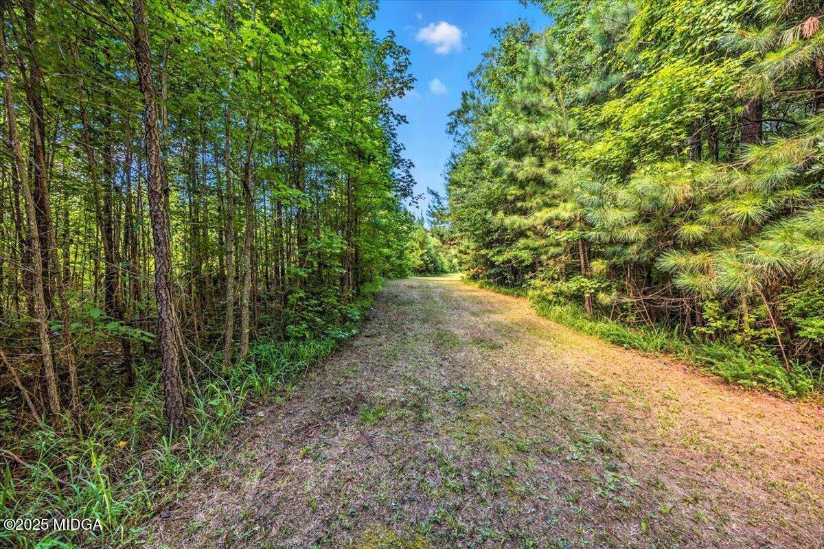 309 Davis Road Gray, GA 31032 - Photo 38 of 48 a view of a yard with plants and large trees