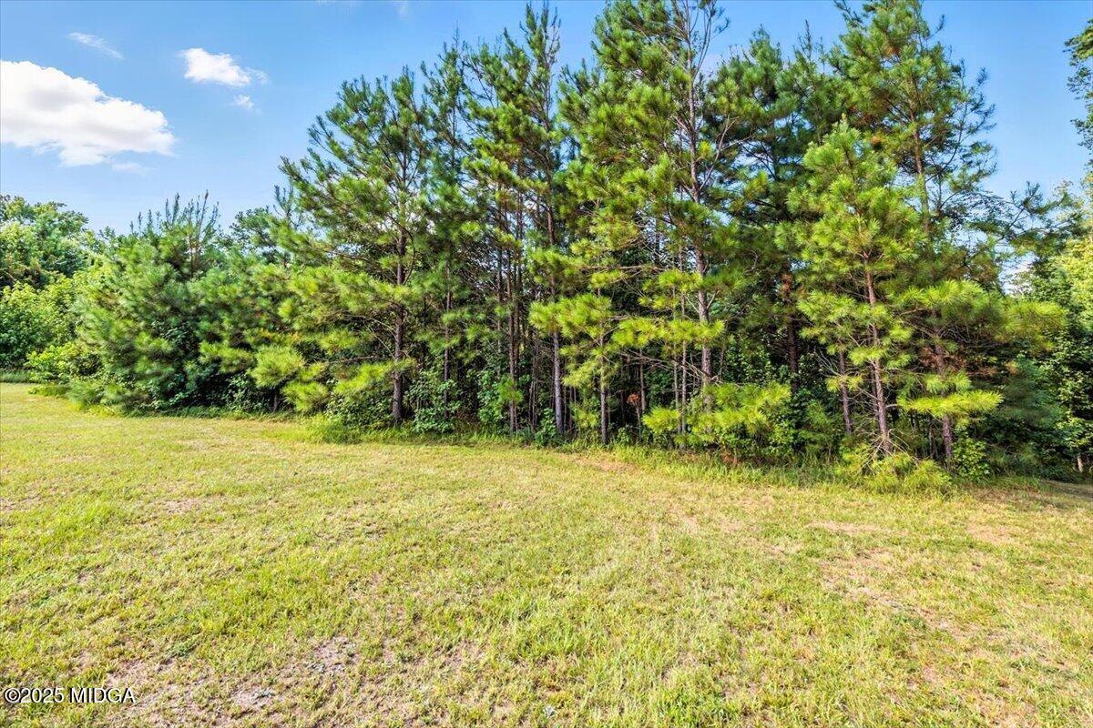 309 Davis Road Gray, GA 31032 - Photo 39 of 48 a view of yard with swimming pool and green space