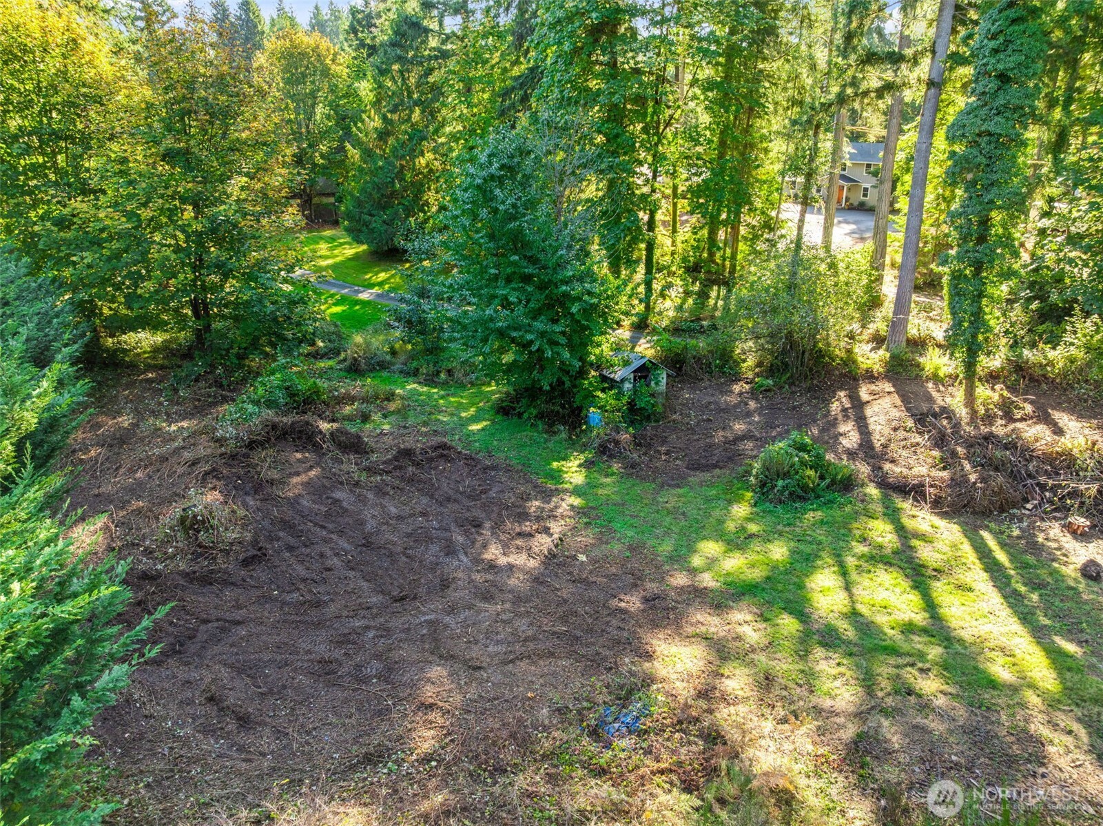 4312 Meridian Road Northeast Lacey, WA 98516 - Photo 18 of 21 a backyard of a house with lots of green space