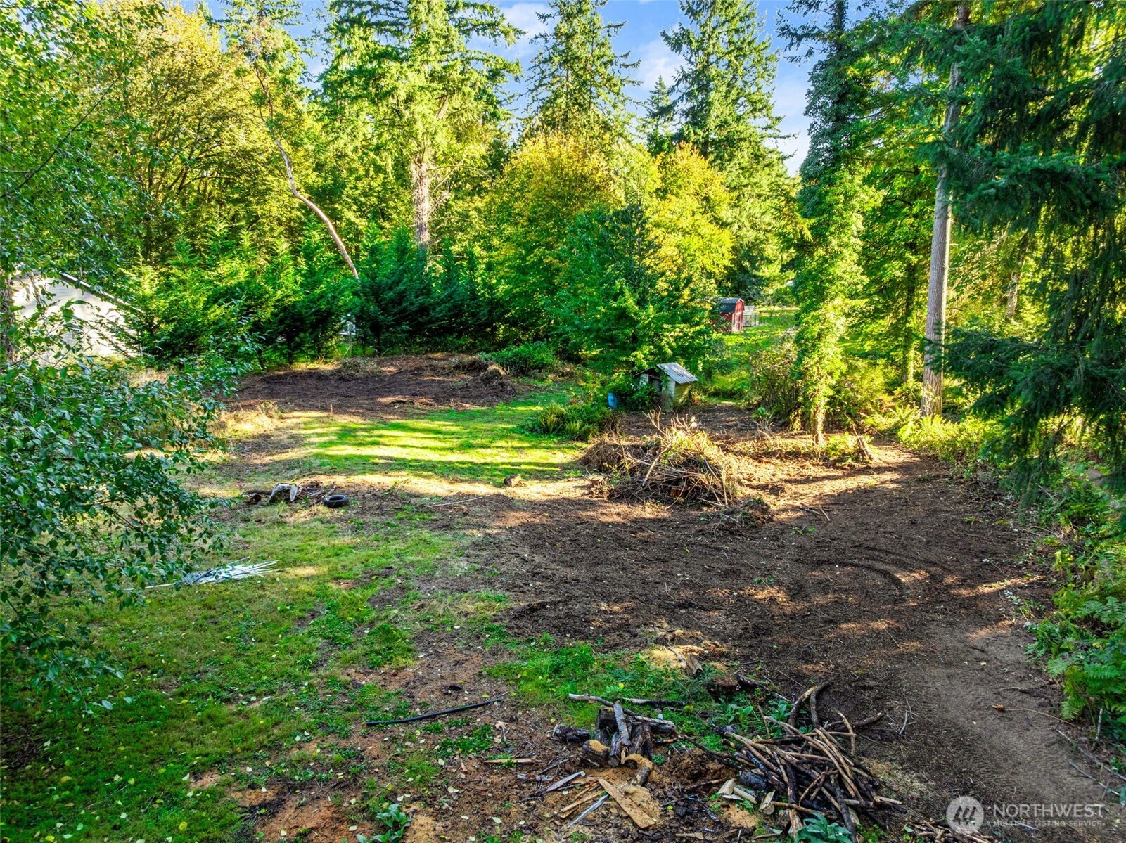 4312 Meridian Road Northeast Lacey, WA 98516 - Photo 19 of 21 a view of yard with green space