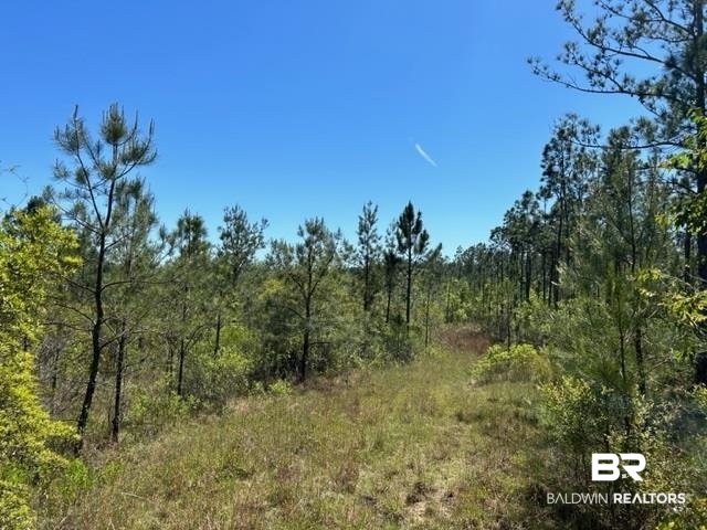 1150 Howardtown Road Tibbie, AL 36583 - Photo 5 of 17