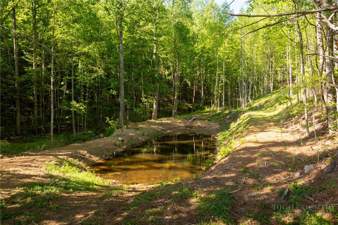 466 Stony Fork Road Deep Gap, NC 28618 - Photo 12 of 49