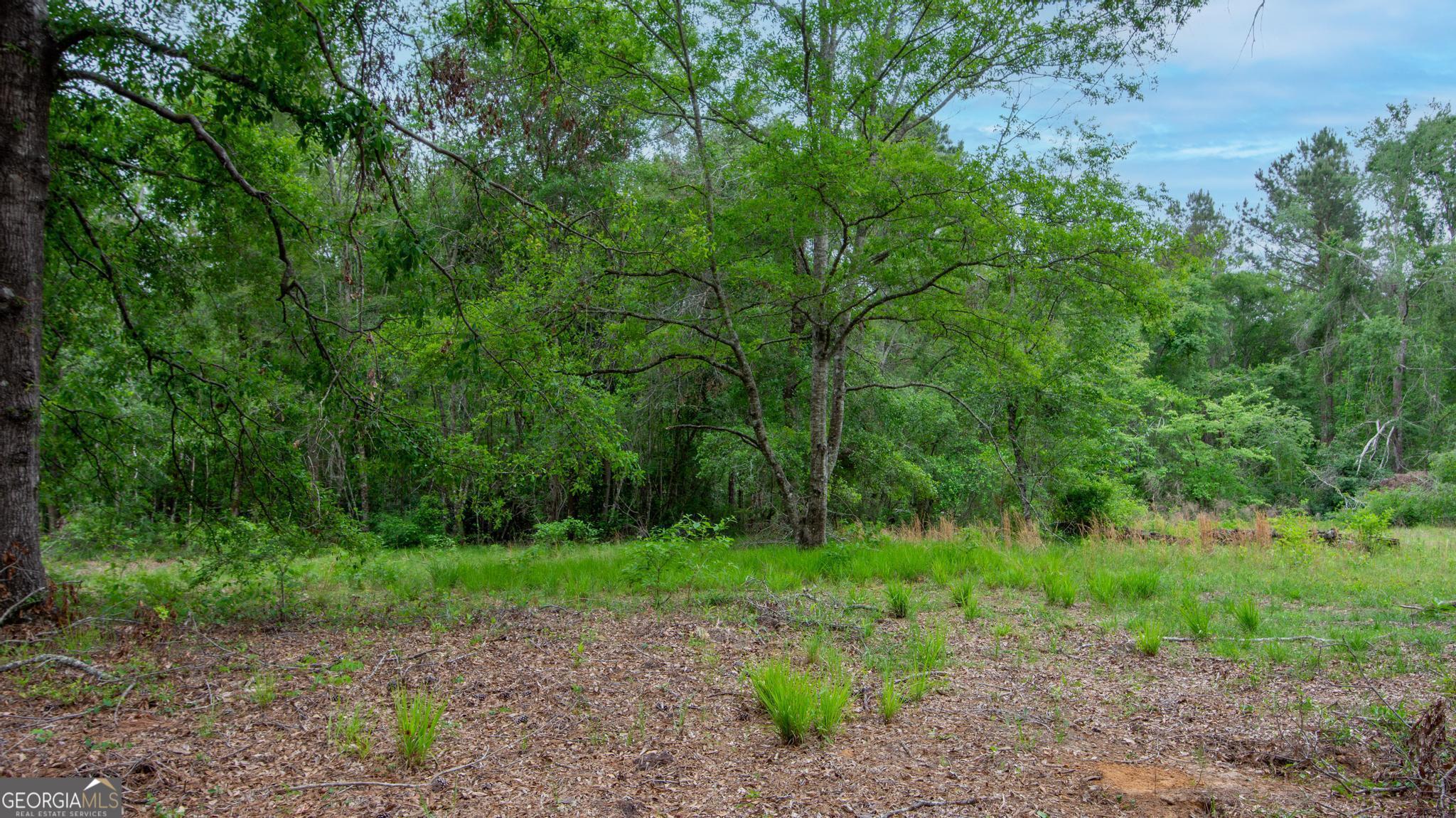 760 Memphis Road Metter, GA 30439 - Photo 11 of 27