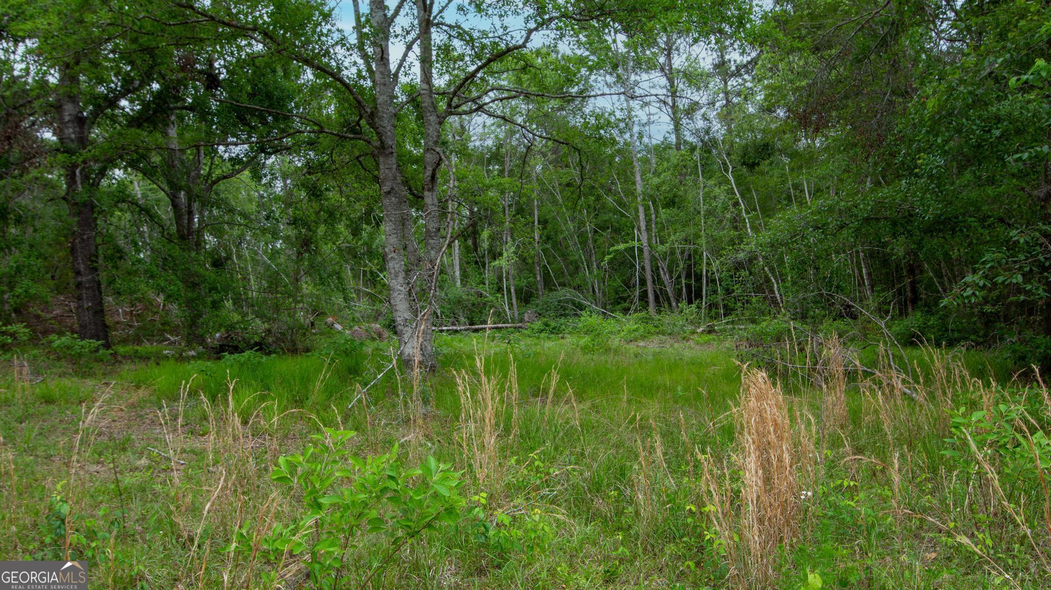 760 Memphis Road Metter, GA 30439 - Photo 12 of 27