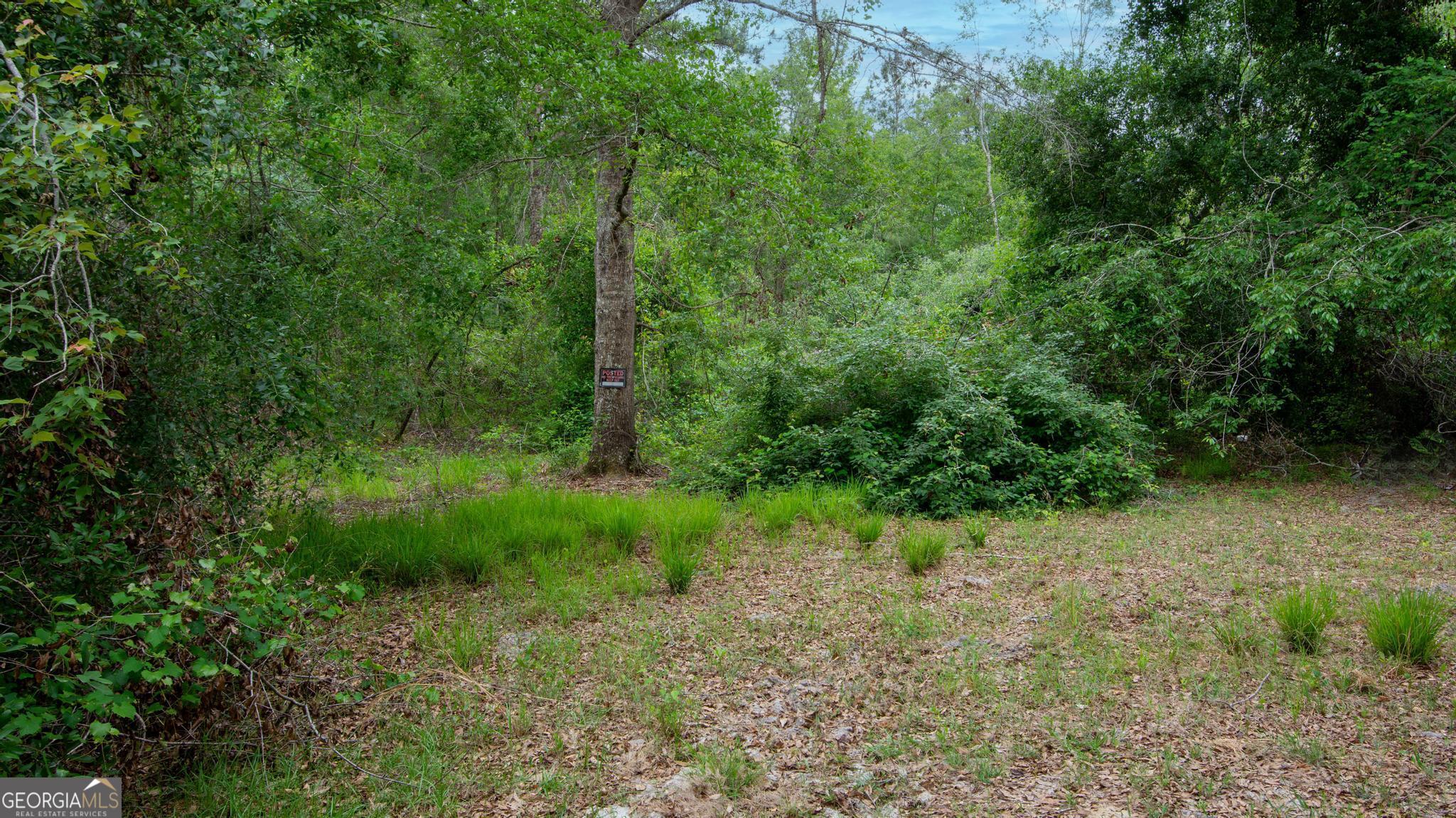 760 Memphis Road Metter, GA 30439 - Photo 13 of 27