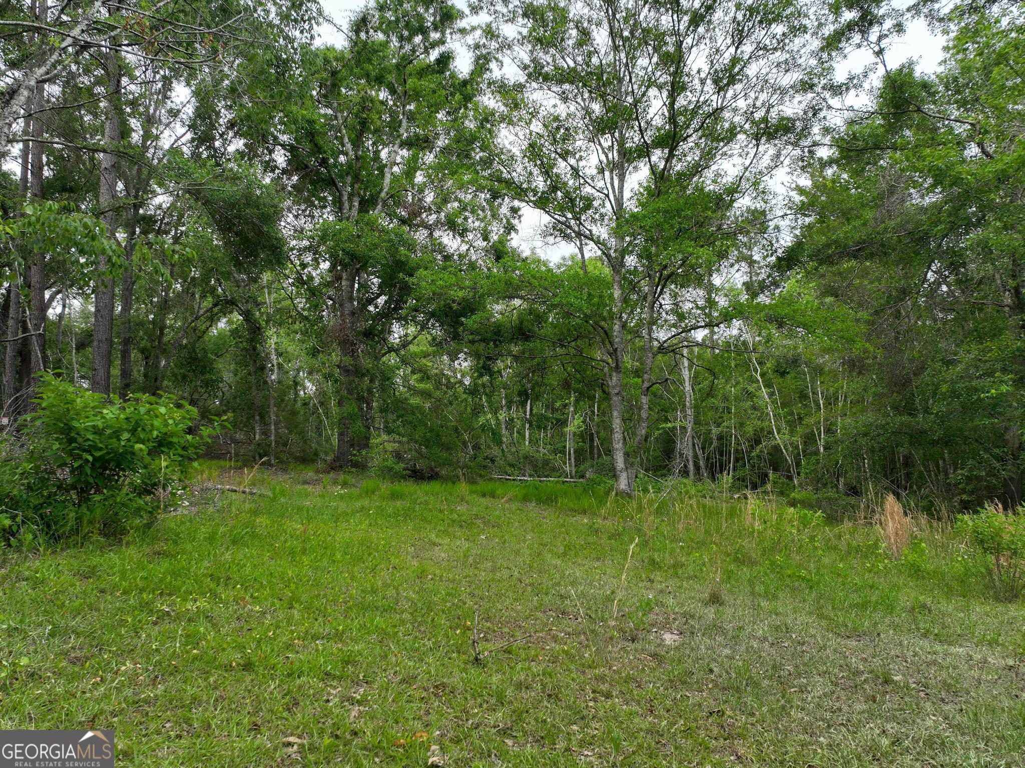 760 Memphis Road Metter, GA 30439 - Photo 14 of 27