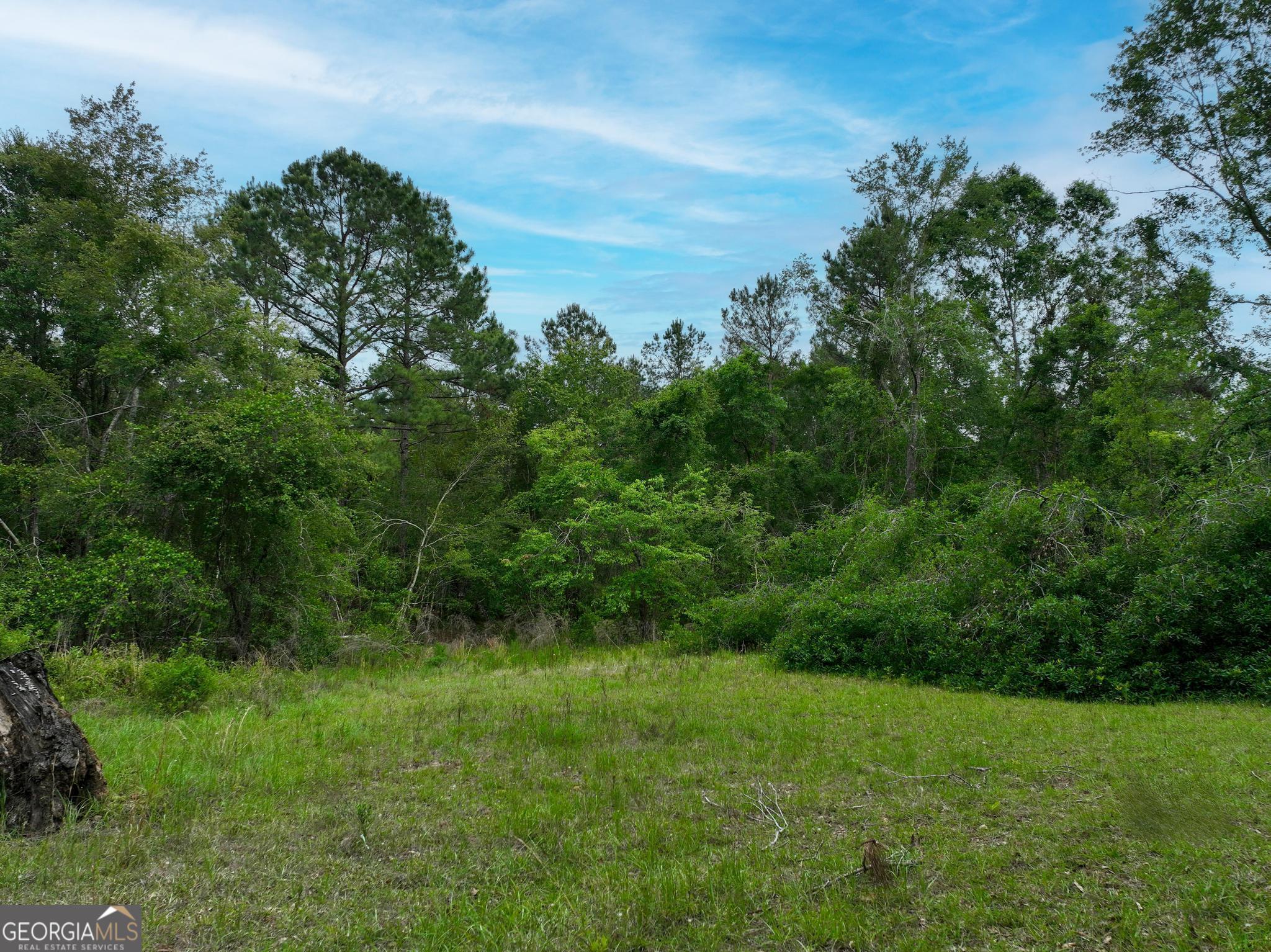 760 Memphis Road Metter, GA 30439 - Photo 15 of 27