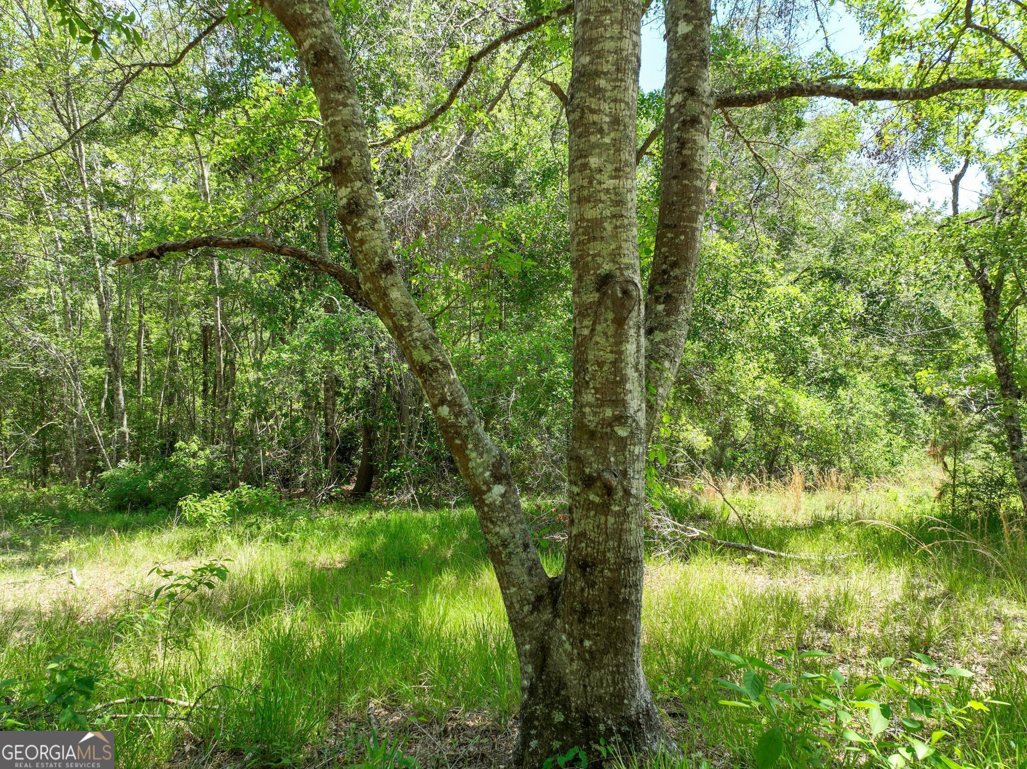 760 Memphis Road Metter, GA 30439 - Photo 17 of 27