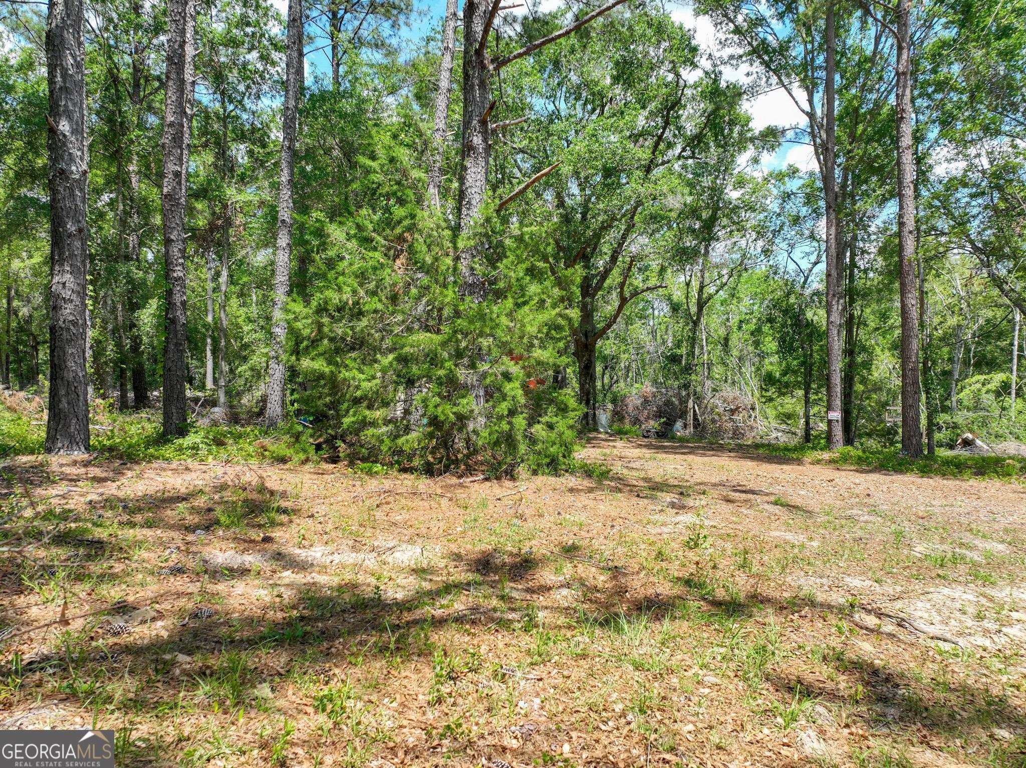 760 Memphis Road Metter, GA 30439 - Photo 19 of 27