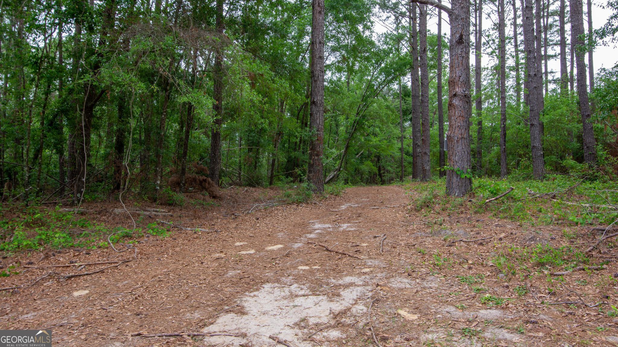 760 Memphis Road Metter, GA 30439 - Photo 20 of 27